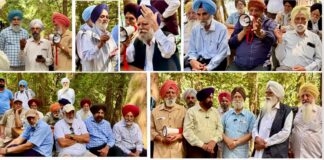 ਇੰਡੋ ਕੈਨੇਡੀਅਨ ਸੀਨੀਅਰ ਸੈਂਟਰ ਦੇ ਮੈਂਬਰਾਂ ਨੇ ਐਲਿਸ ਲੇਕ ਸਕਾਮਿਸ਼ ਵਿਖੇ ਯਾਦਗਾਰੀ ਪਿਕਨਿਕ ਟੂਰ ਲਾਇਆ